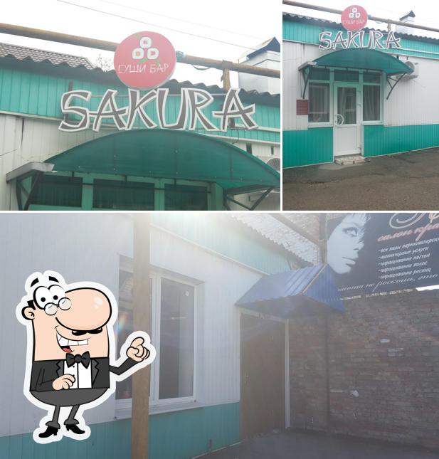 Сакура