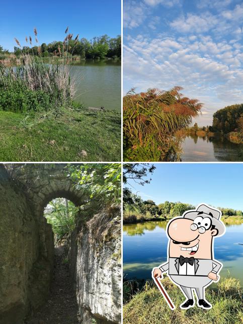 Oase am Teich