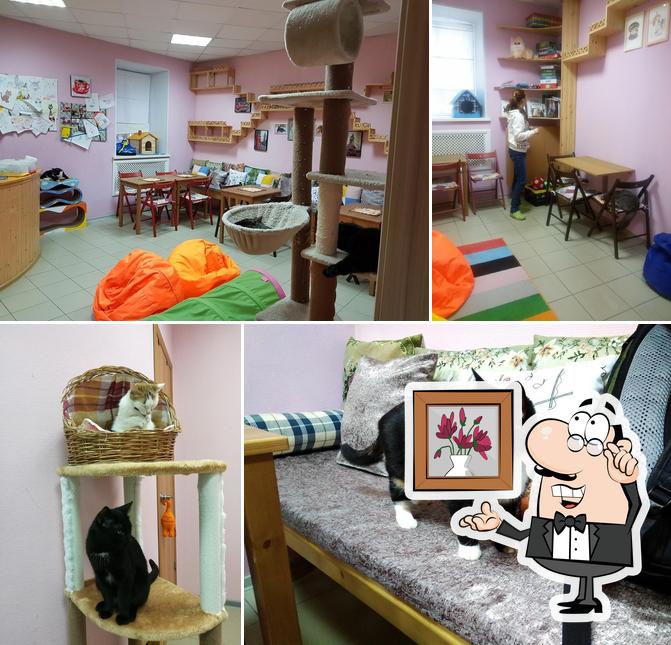 КотоКафе КОфеТерий