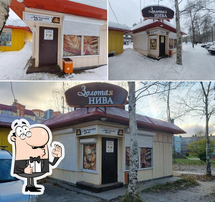 Золотая нива