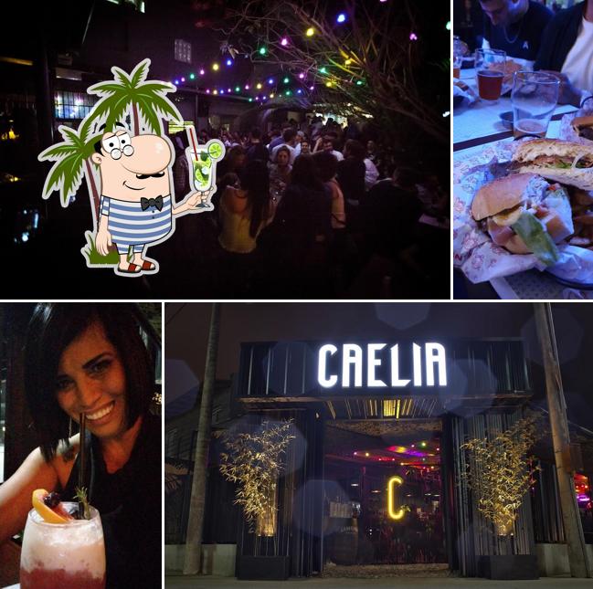 Caelia