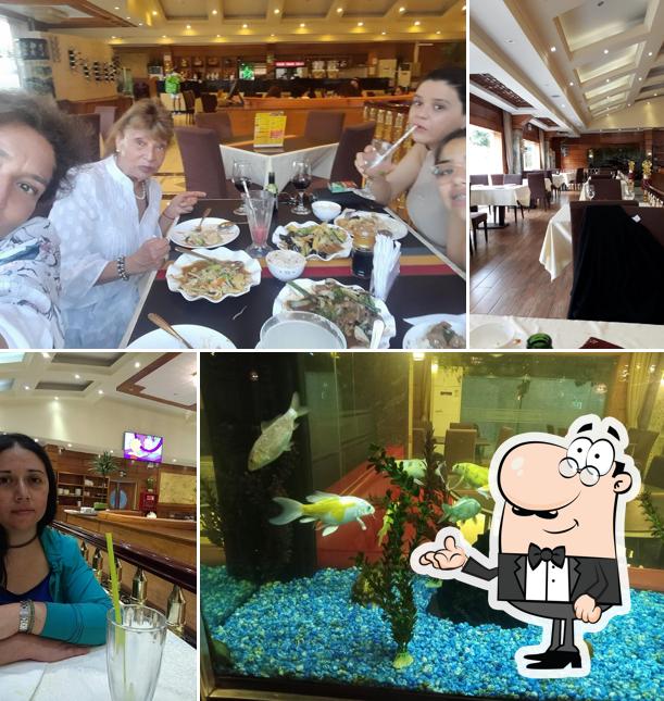 Restaurante Chino Zy