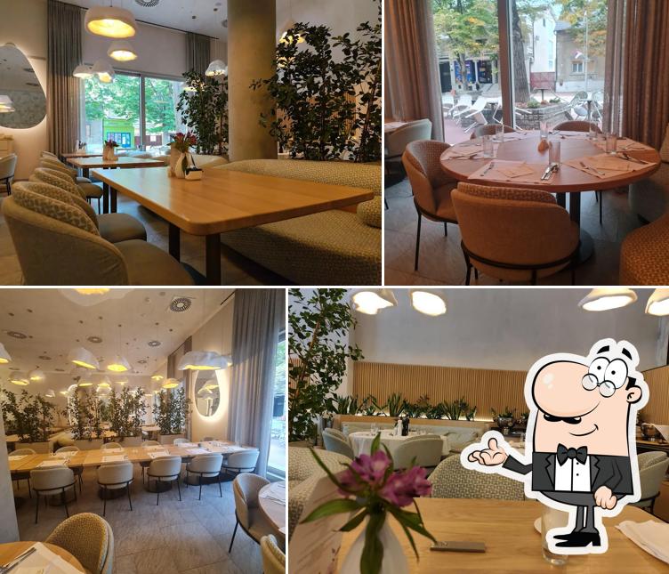 Nest Restaurant Indjija