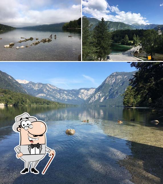 Zlatovcica