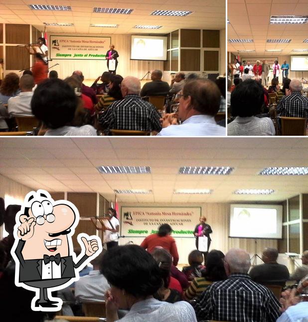 Unidad de Medio Ambiente Matanzas