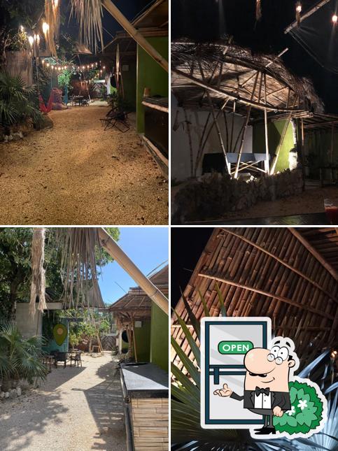 Guacamole club Art Park