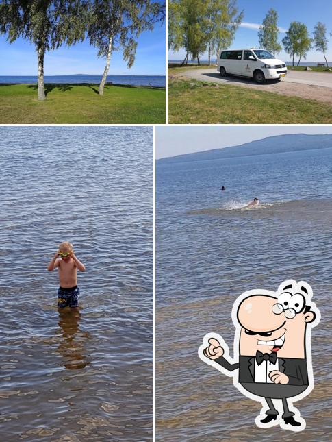 Kinnevikens Mat