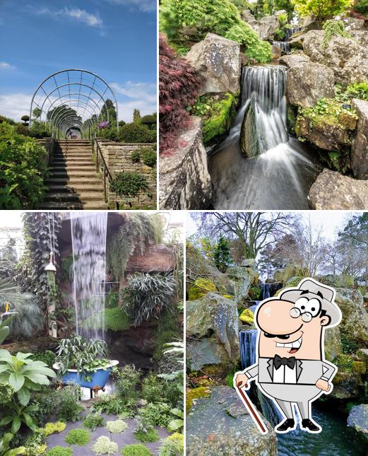 RHS Garden Wisley