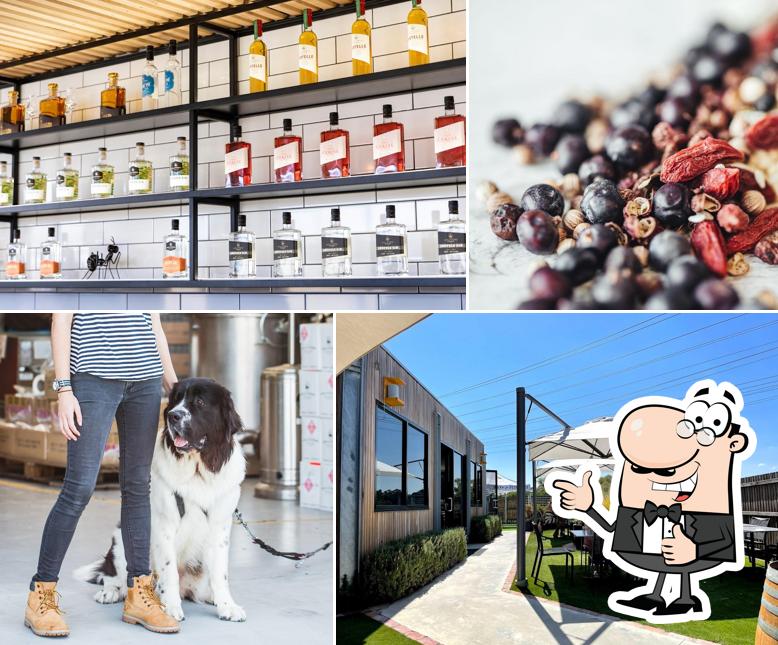 Bass & Flinders Distillery
