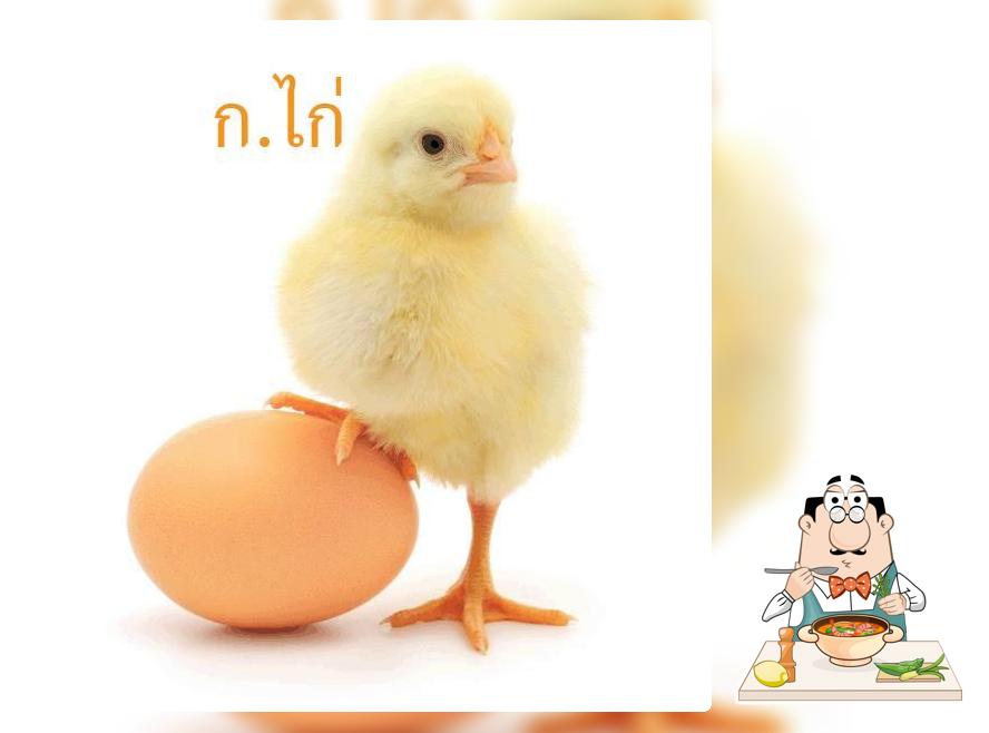 ก.ไก่