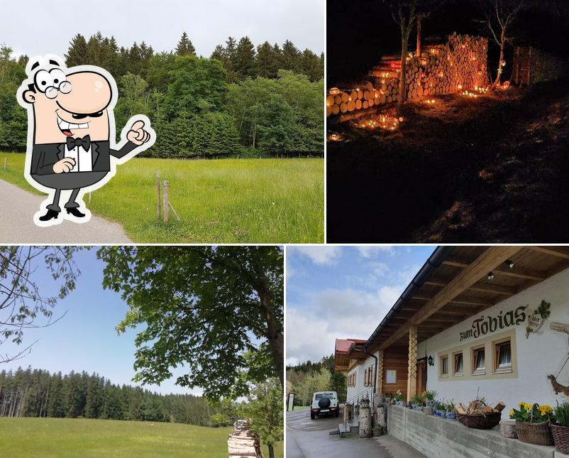 Waldgasthaus Zum Tobias