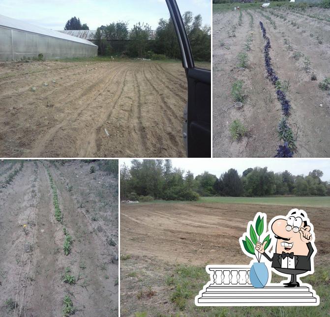 Of the Earth Farm