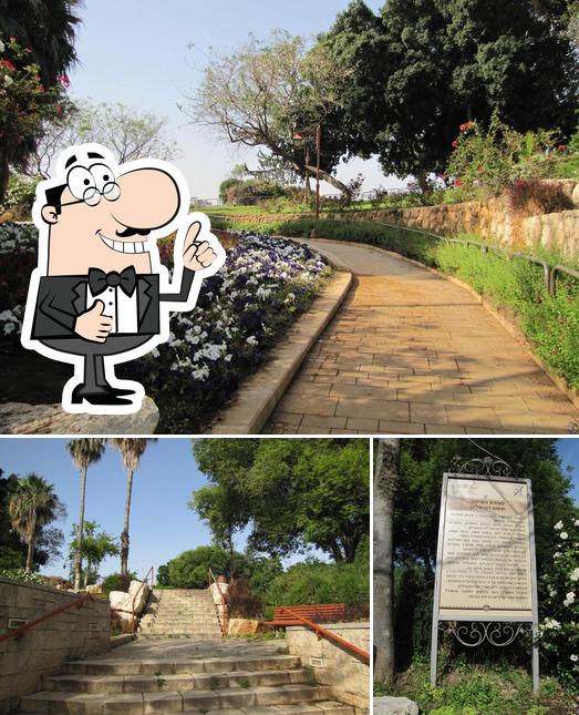 שמחה קולינארית