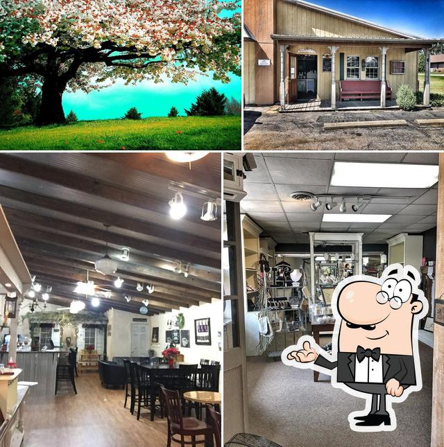 Java Daves Indiana