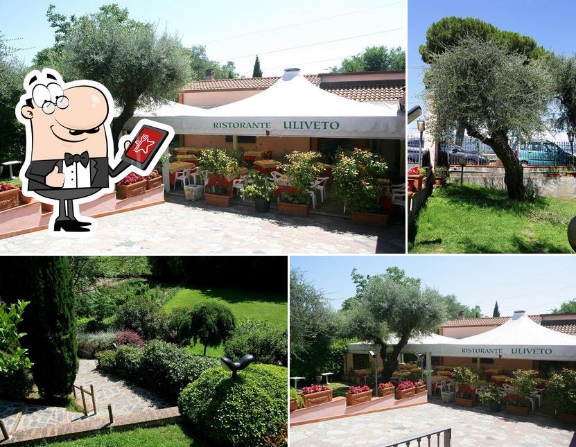 Ristorante Pizzeria Uliveto