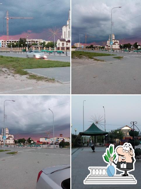 Пивотерра
