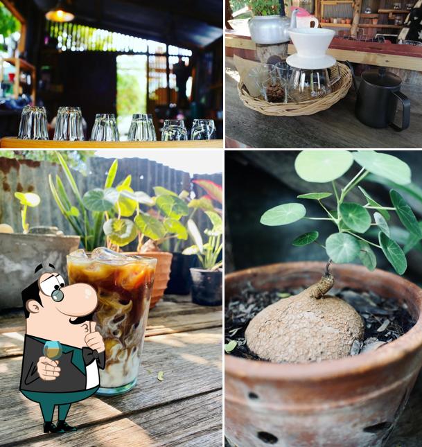สามแยกกาแฟ สโลว์บาร์