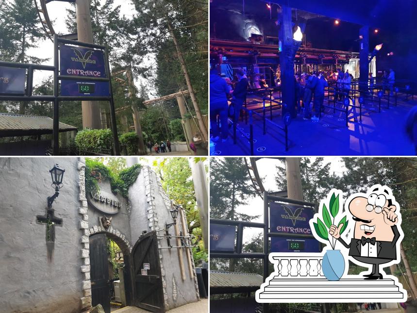 Vampire's Burger Kitchen