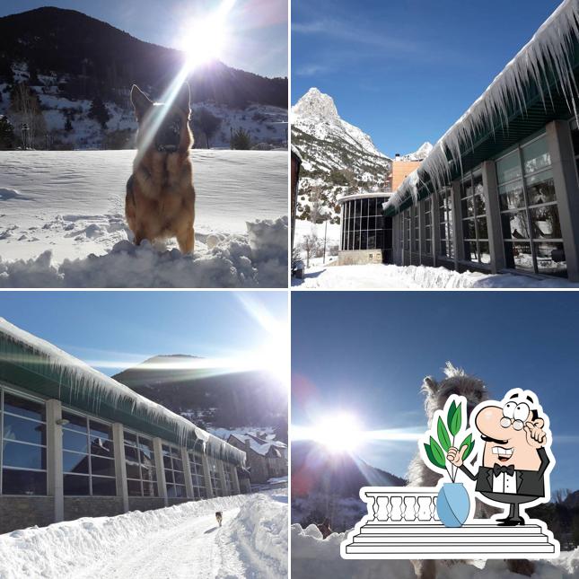 Divino formigal
