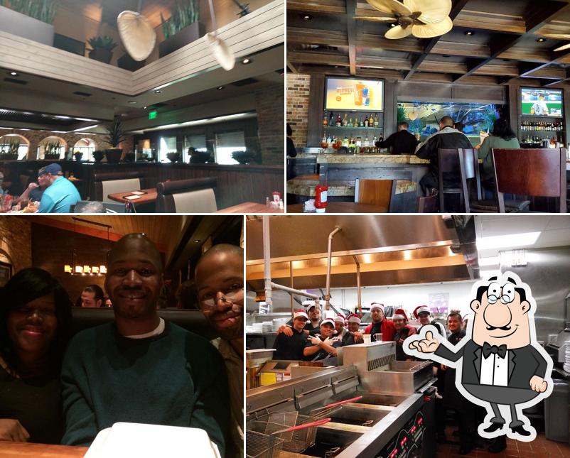 Cheddar's Scratch Kitchen