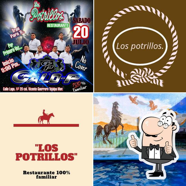 Restaurante- Bar "Los Potrillos"