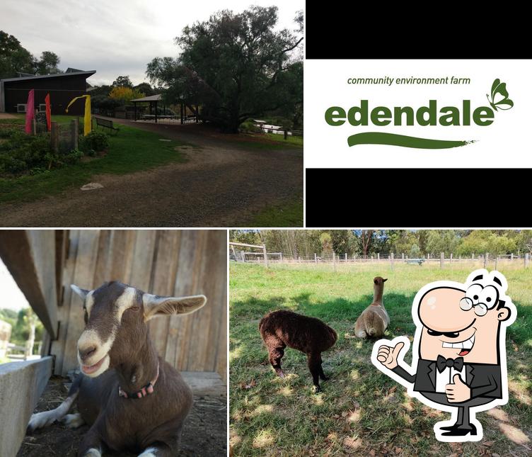 Edendale Community Environment Farm