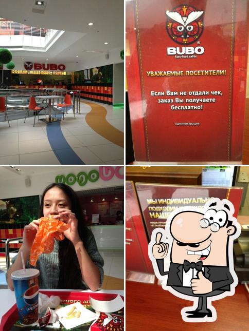 Bubo
