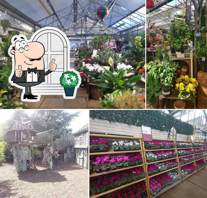 Squire's Garden Centre