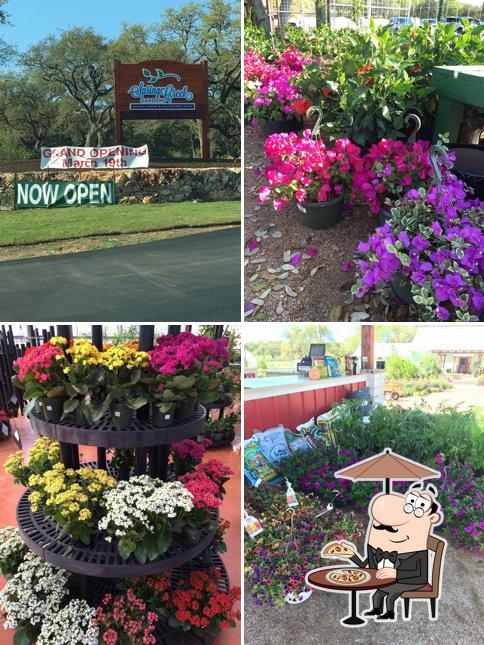 Spring Creek Gardens