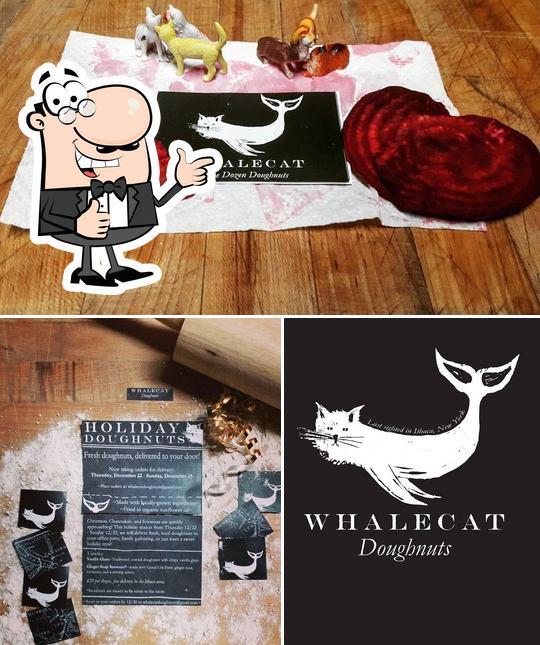 WhaleCat