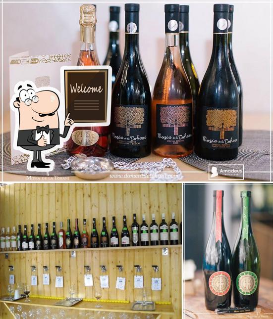 VIN Pentru Evenimente