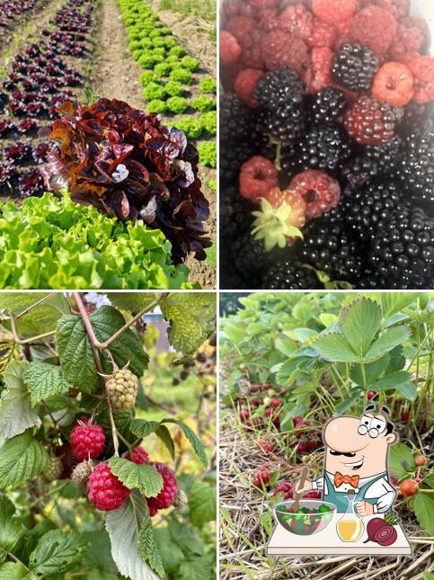 Beeren und Gemüse zum Selberpflücken Weidmann Embrach
