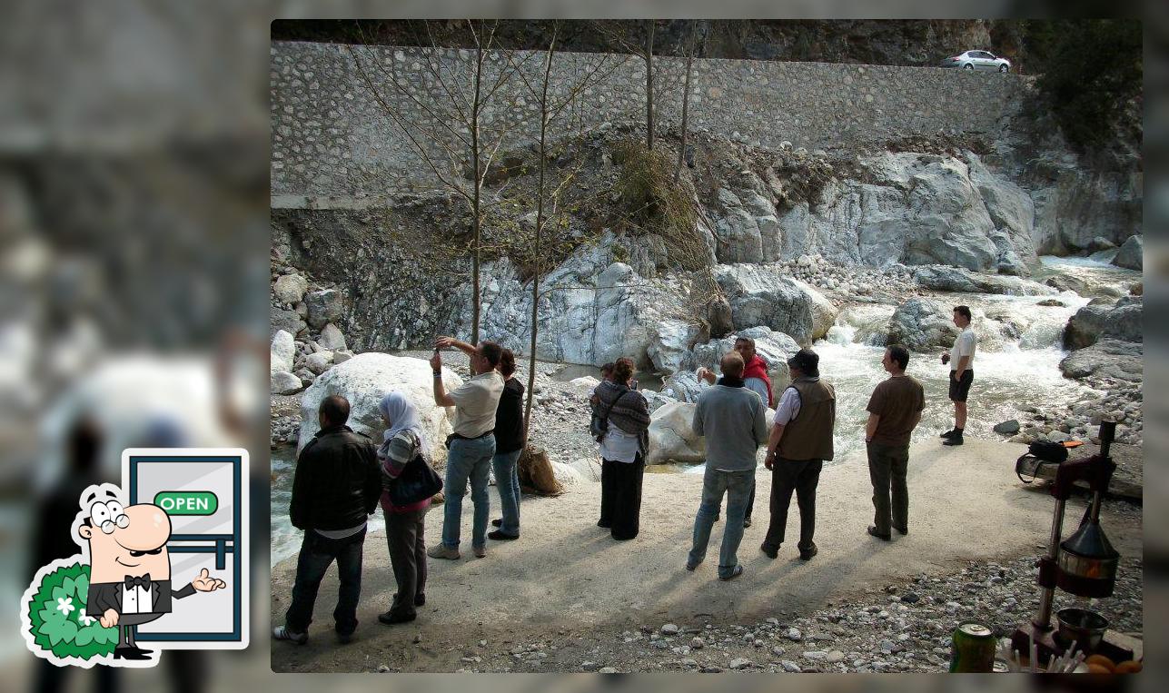 Şelale restorant Ardesen