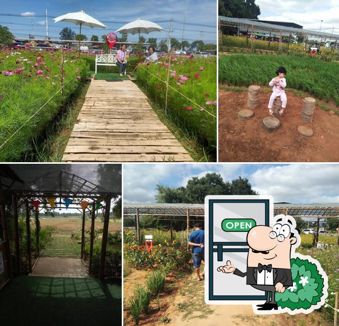เหนือฟ้าฟาร์ม