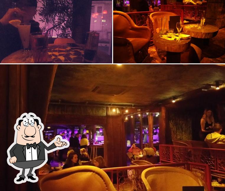 Le Jungle Café