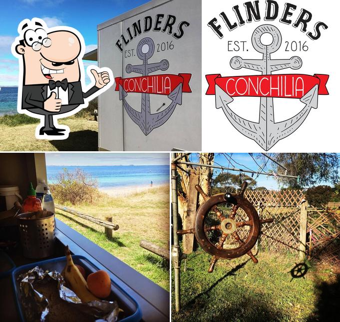 Flinders Conchilia