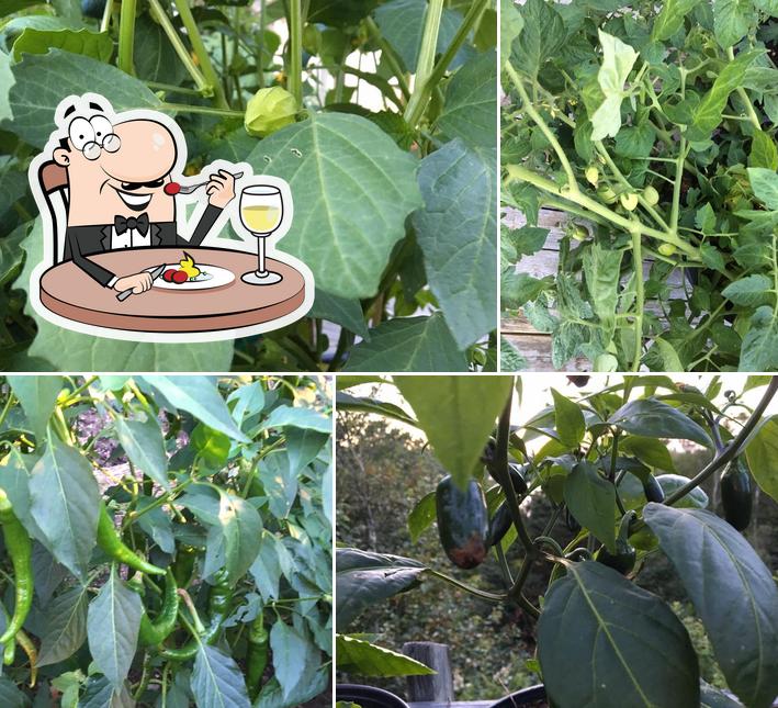 Home Harvest Kitchen Gardens