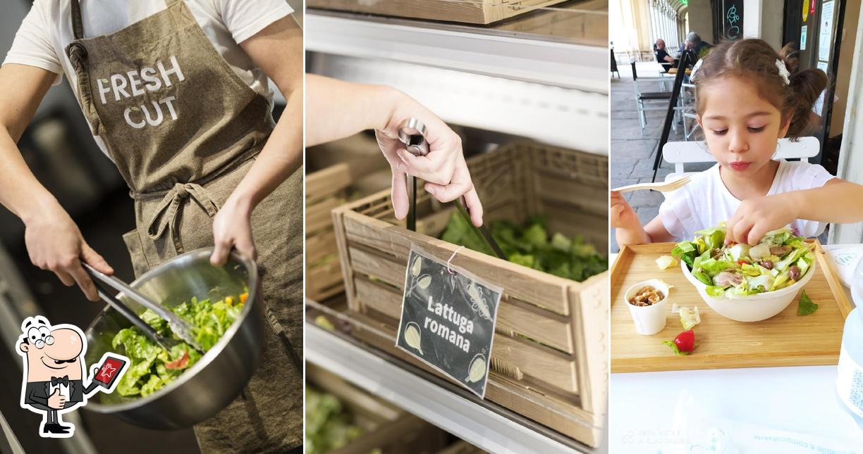 Fresh Cut Salad Bar - Vinzaglio