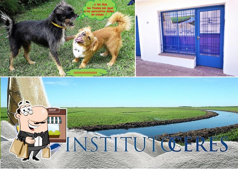 Instituto Ceres