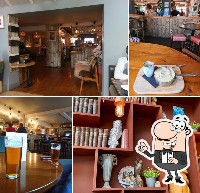 The Owl at Lichfield