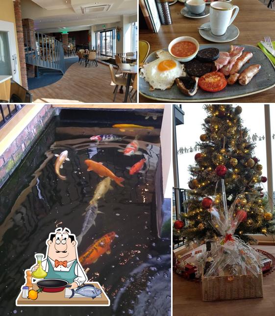 Lakeside Kitchen, Hydrotherapy Pool & Sensory Room