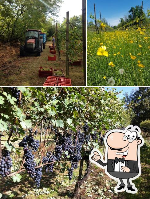 Cascina Baraggiola