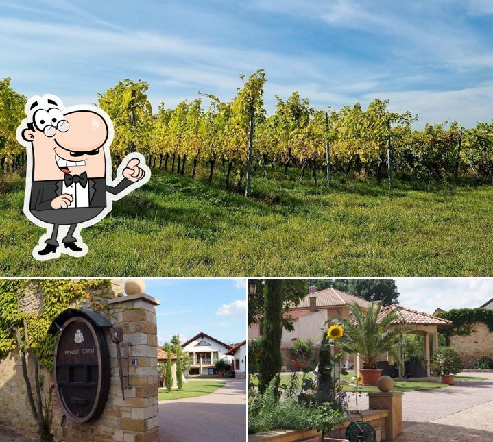 Weingut Christ