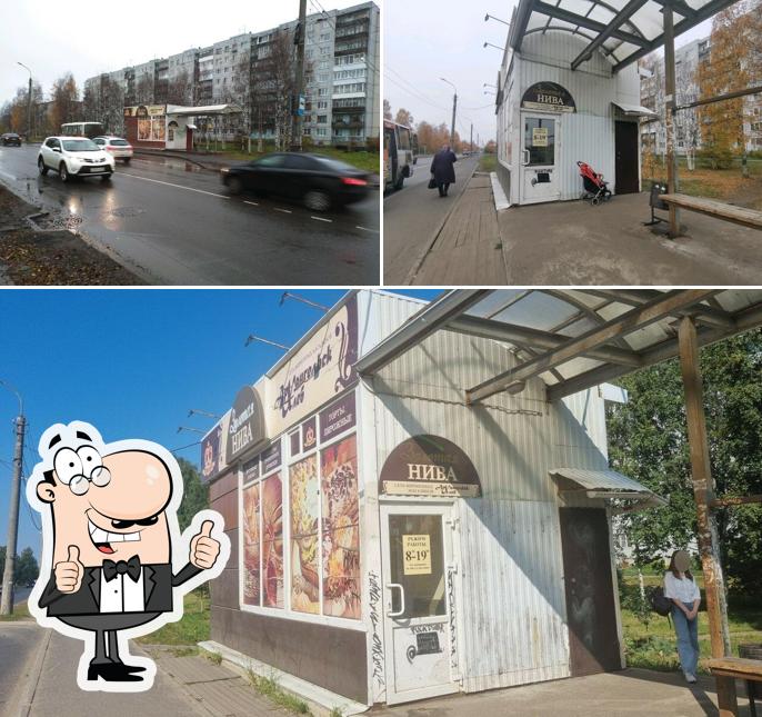 Золотая нива