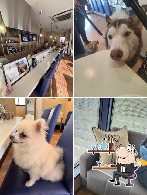 DogCafe wanwan
