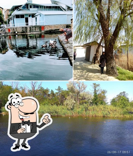 Наслаждайтесь пейзажем, который открывается из "Кафе "Катамаран""