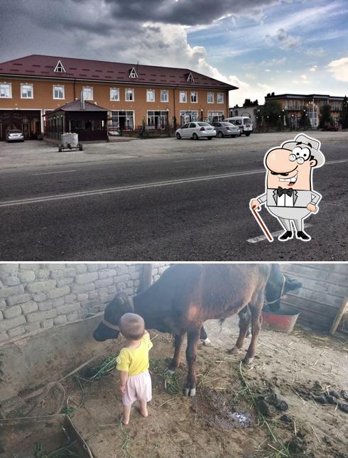 Diyor Food Столовой