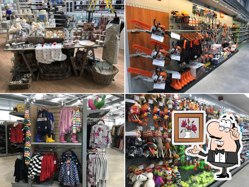 Mole Avon Country Stores Crediton