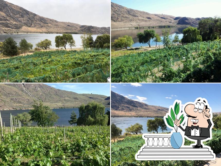 Rio Vista Wines