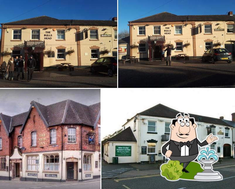 Bulls Head